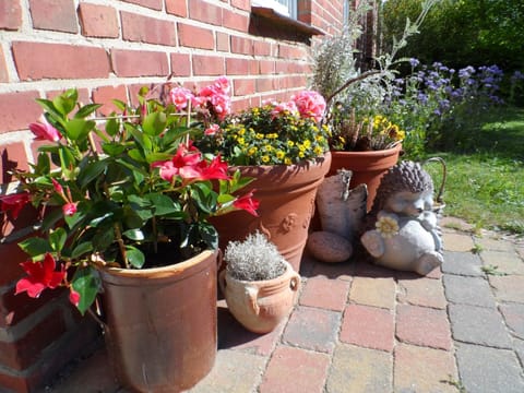 Lütt Verbliev Apartment in Mecklenburgische Seenplatte