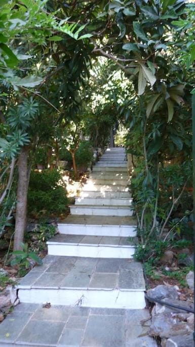 Apartment Villa Loula Apartment in Poros