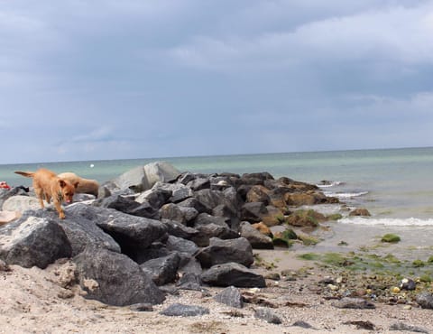 ❤️ KLEINE AUSZEIT ❤️ Apartment in Hohwacht
