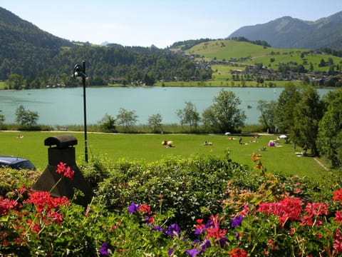 Haus Seeblick am See Apartment in Salzburgerland