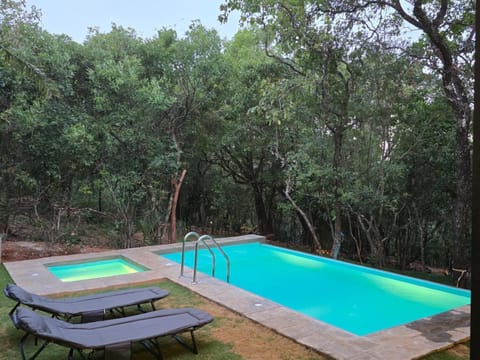 Garden, Swimming pool