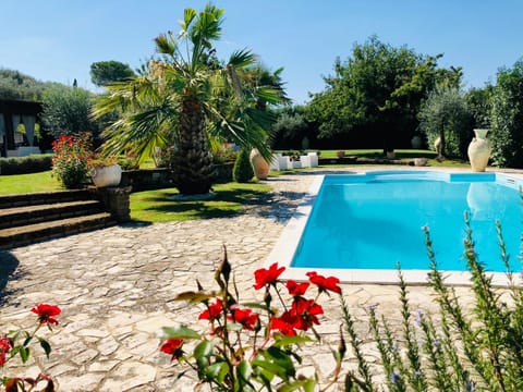 Garden, Garden, Garden view, Pool view, Swimming pool, sunbed