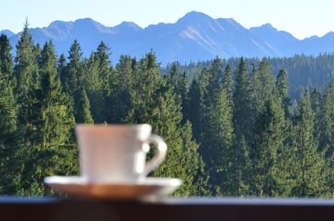 Summer, View (from property/room), Balcony/Terrace, Landmark view, Mountain view, Inner courtyard view