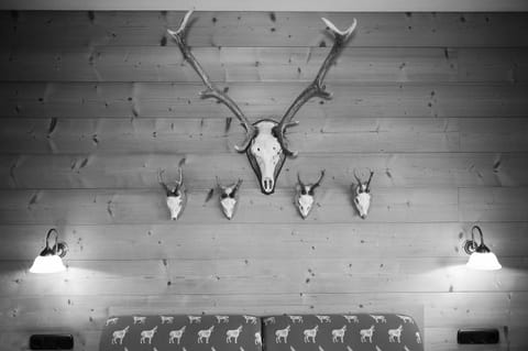 Haus Sonnwies Apartment in Salzburgerland