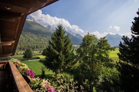 Ferienwohnungen Feldhof Apartment in Tyrol