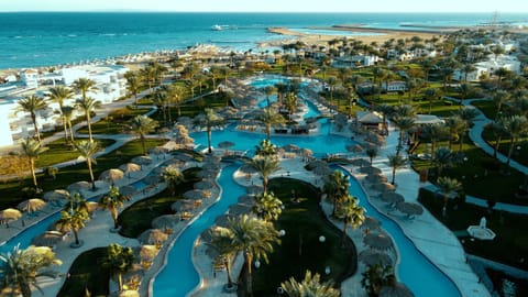 Natural landscape, Beach, Swimming pool, Location