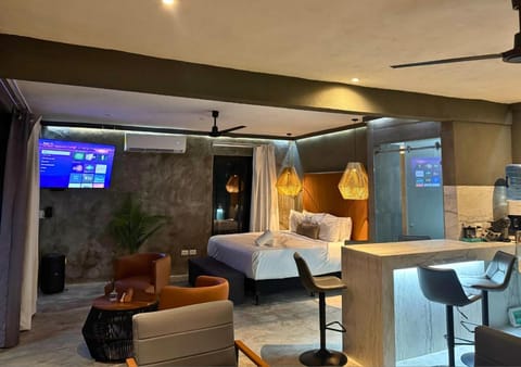 Bed, TV and multimedia, Living room, Photo of the whole room, Seating area, Dining area, internet, safe, air conditioner