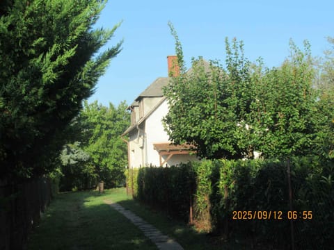 Property building, Summer