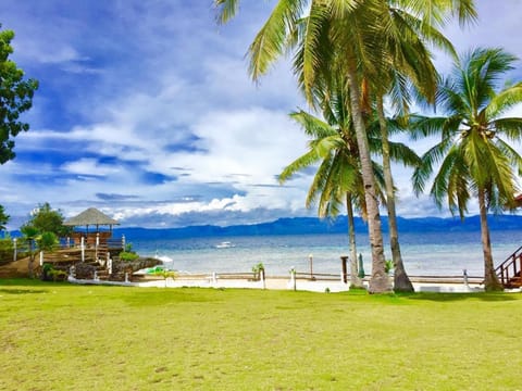 Natural landscape, Garden, Beach, Sea view