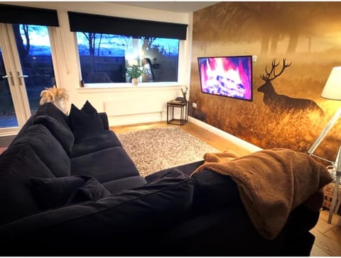 Druid House Lodge Apartment in Scotland