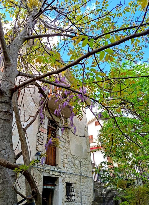 Garden, Garden view