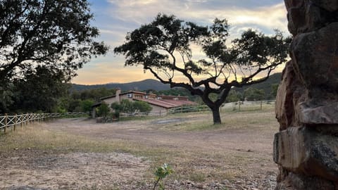 Property building, Garden view