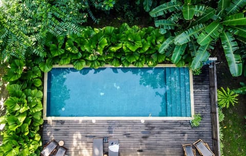 Day, Bird's eye view, Garden, Garden view, Pool view, Swimming pool