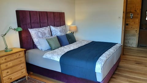 KAISER Apartment in Salzburgerland