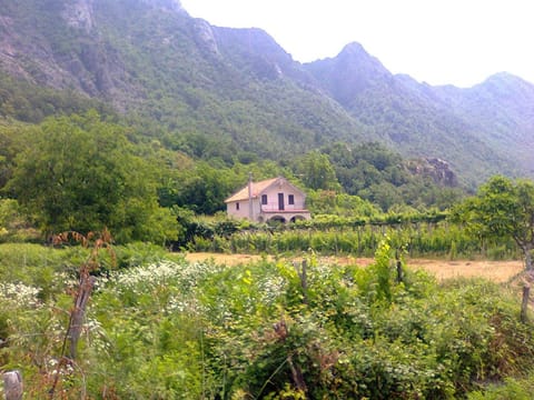 Vacation home Nature lodge in Podgorica Municipality, Montenegro