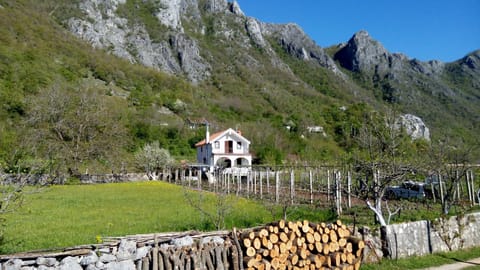 Vacation home Nature lodge in Podgorica Municipality, Montenegro