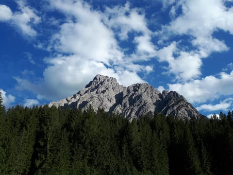 B&B Schlossar Haus Bed and Breakfast in Friuli-Venezia Giulia