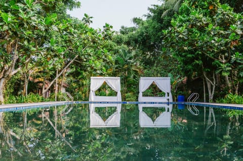Natural landscape, Garden, Garden view, Pool view, Swimming pool, Swimming pool