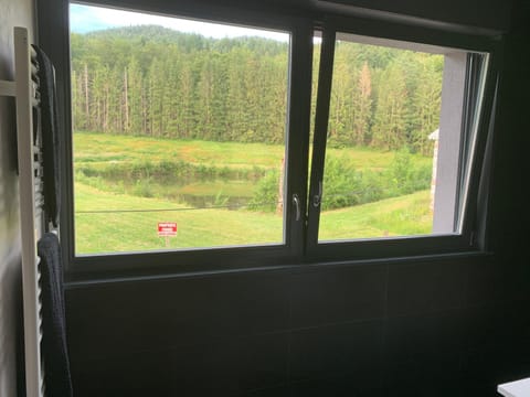 Gite grand standing dans cadre idyllique House in Vosges