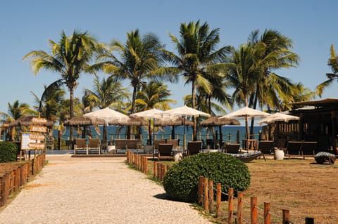 Day, Natural landscape, Garden, Beach, Sea view