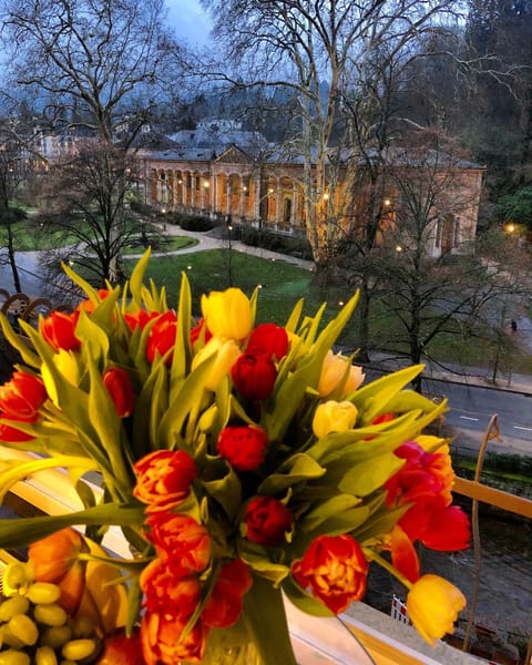 Natural landscape, Garden, Hiking, Garden view, Landmark view, Landmark view, Mountain view, River view