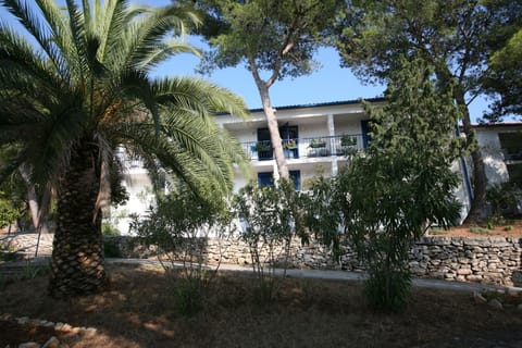 Property building, Day