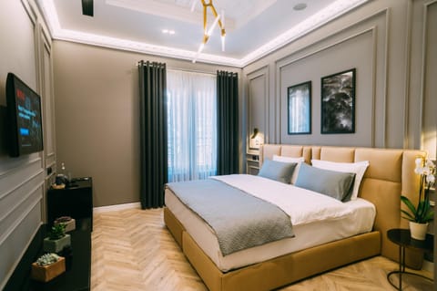 Bed, TV and multimedia, Living room, Photo of the whole room, Bedroom