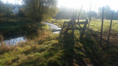Ferienhaus-4Seasons House in Vulkaneifel