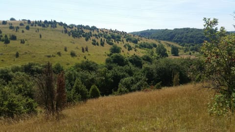 Ferienhaus-4Seasons House in Vulkaneifel