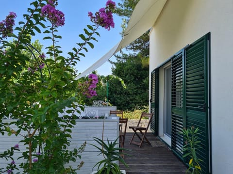 Koko's home Apartment in Dubrovnik-Neretva County