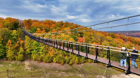 803 Mountain Cabin Cabin in Michigan