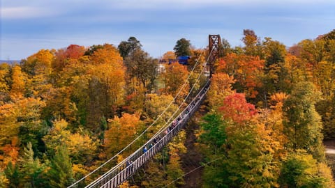 803 Mountain Cabin Cabin in Michigan