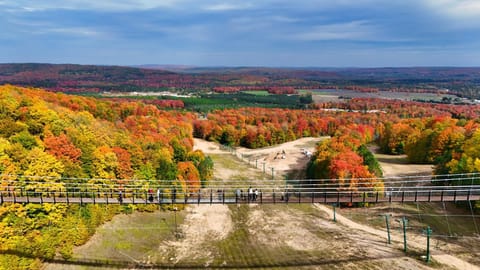 803 Mountain Cabin Cabin in Michigan