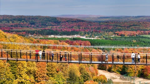 803 Mountain Cabin Cabin in Michigan