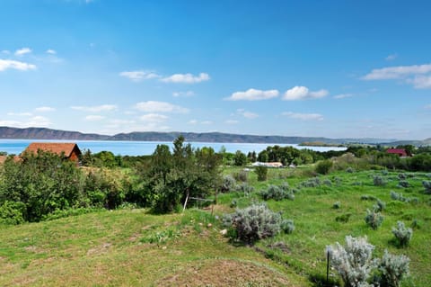 Harwood Home House in Garden City