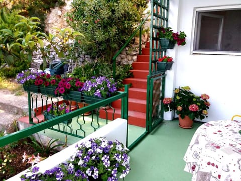 Patio, Balcony/Terrace