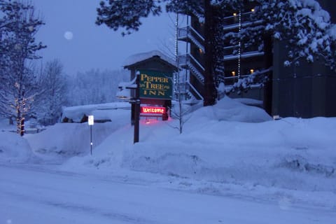 Property building, Facade/entrance, Natural landscape, Winter, Street view