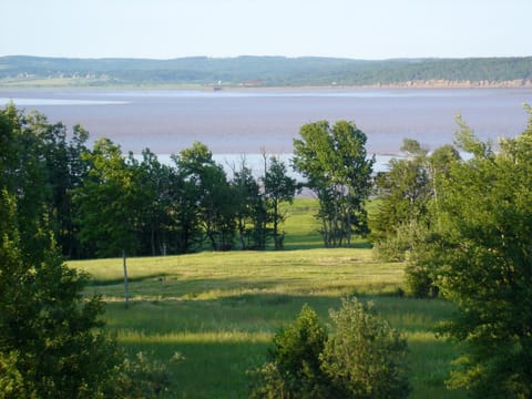 Natural landscape