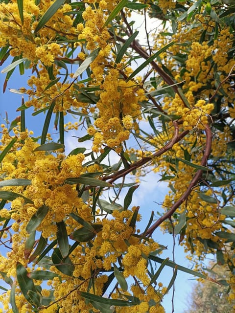 Casa THE NEST - Il Nido sul Mare House in Sardinia