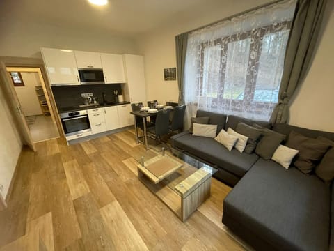 Kitchen or kitchenette, Living room, Seating area, minibar, pet friendly, stove