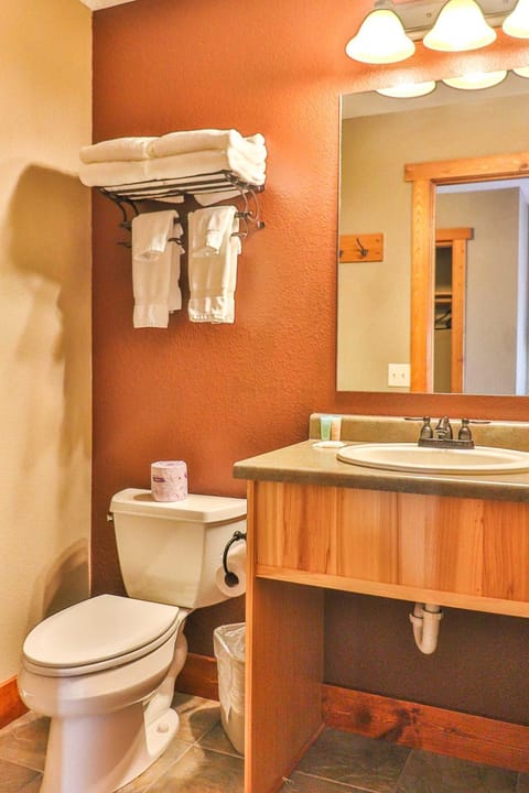 Toilet, Bathroom, Inner courtyard view, towels