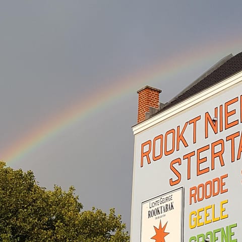 B&B The Project Bed and Breakfast in Limburg (province)