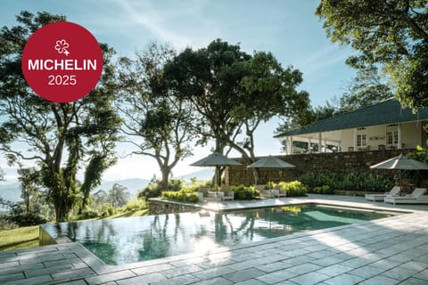 Natural landscape, Swimming pool, sunbed