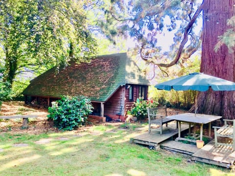 Property building, Natural landscape