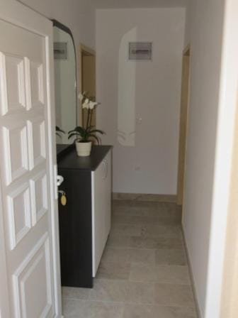 VILLA DORA ZULJANA PELJESAC CROATIA Apartment in Dubrovnik-Neretva County