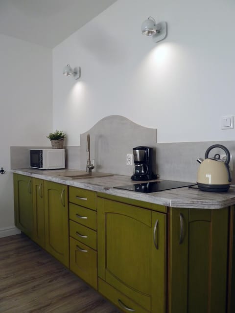 Coffee/tea facilities, Kitchen or kitchenette, minibar, pet friendly, stove, toaster