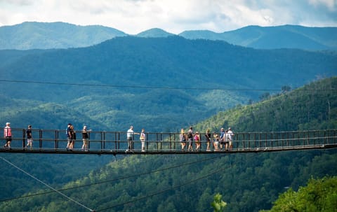 Dreamscapes House in Pittman Center