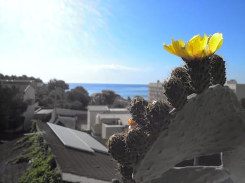 Day, Natural landscape, Decorative detail, Sea view