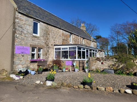 Property building, Spring