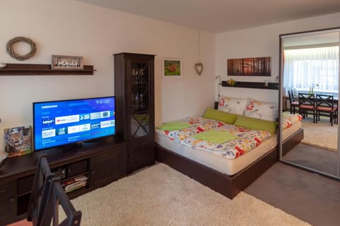 TV and multimedia, Photo of the whole room, Decorative detail